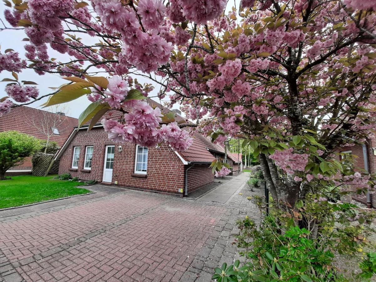 Flut Norden Exterior foto